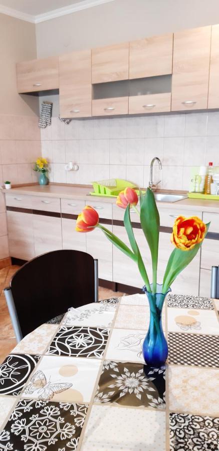 גיולה Flora Apartman מראה חיצוני תמונה